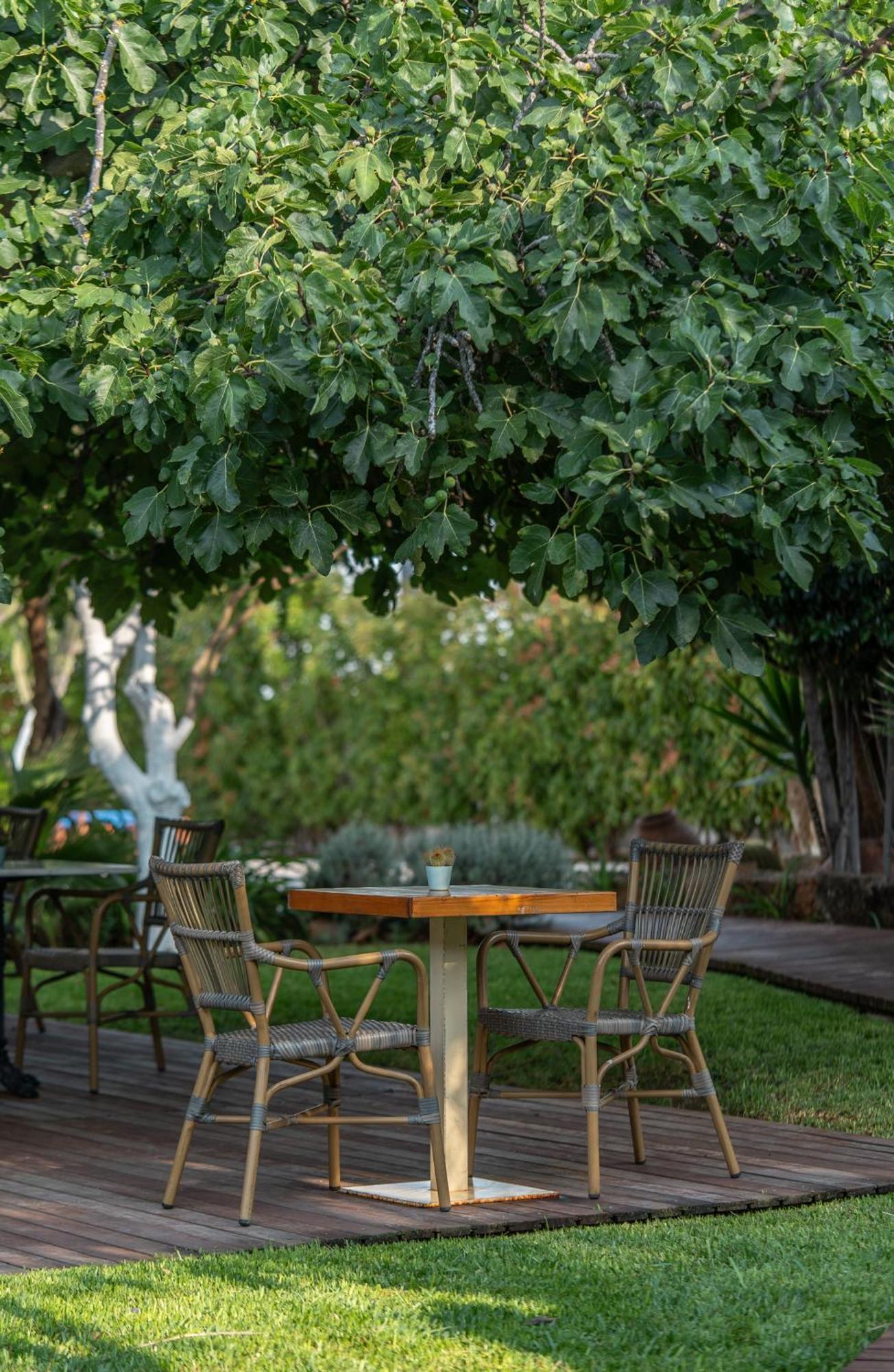 Boho Suites Denia (Adults Only) ภายนอก รูปภาพ